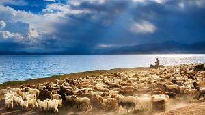 Sarym Lake